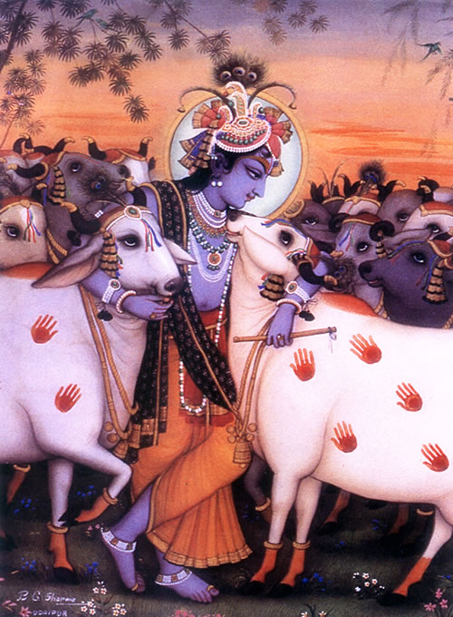 Krsna and his cows