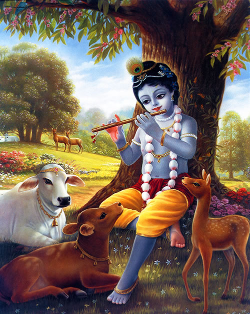 Krsna playing flute to the animals