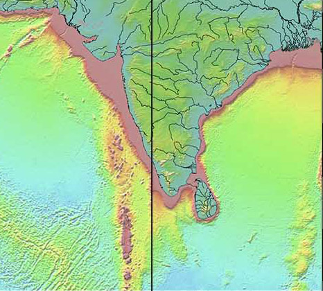 close up of Ceylon