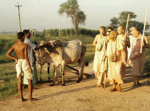 Srila Prabhupada stops to talk to a farmer in India.