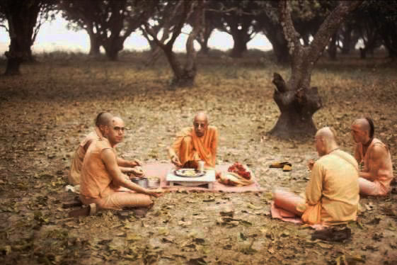 Eating lunch in the forests of Braja