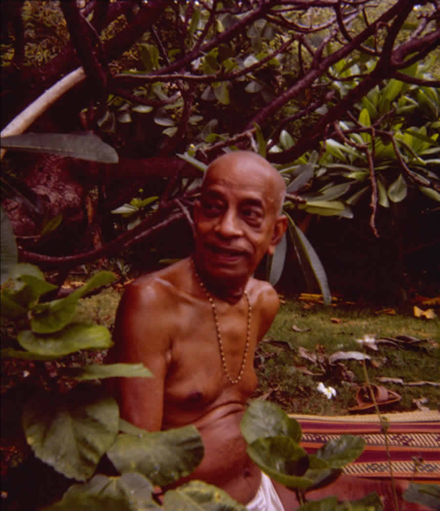 Prabhupada in Hawaii getting massage