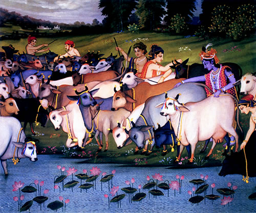 Krsna and His friends having fun herding cows.