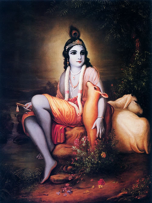 Krsna  with His beloved cows