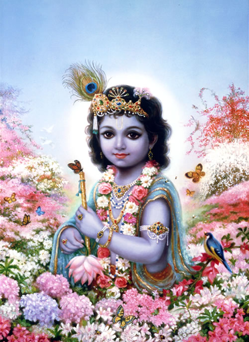 Lord Krsna, a festival of beauty.