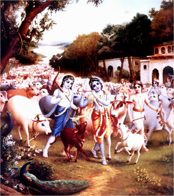 Krsna and Balarama herding cows